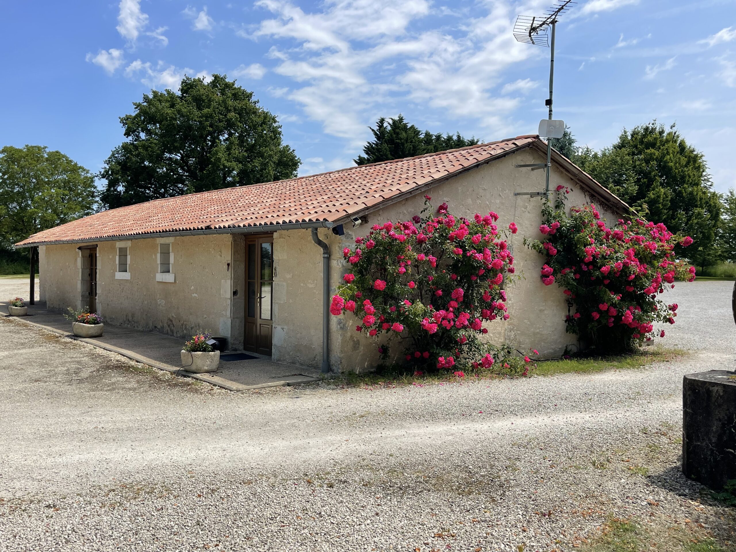 Le gîte côté cour, entrées fleuries