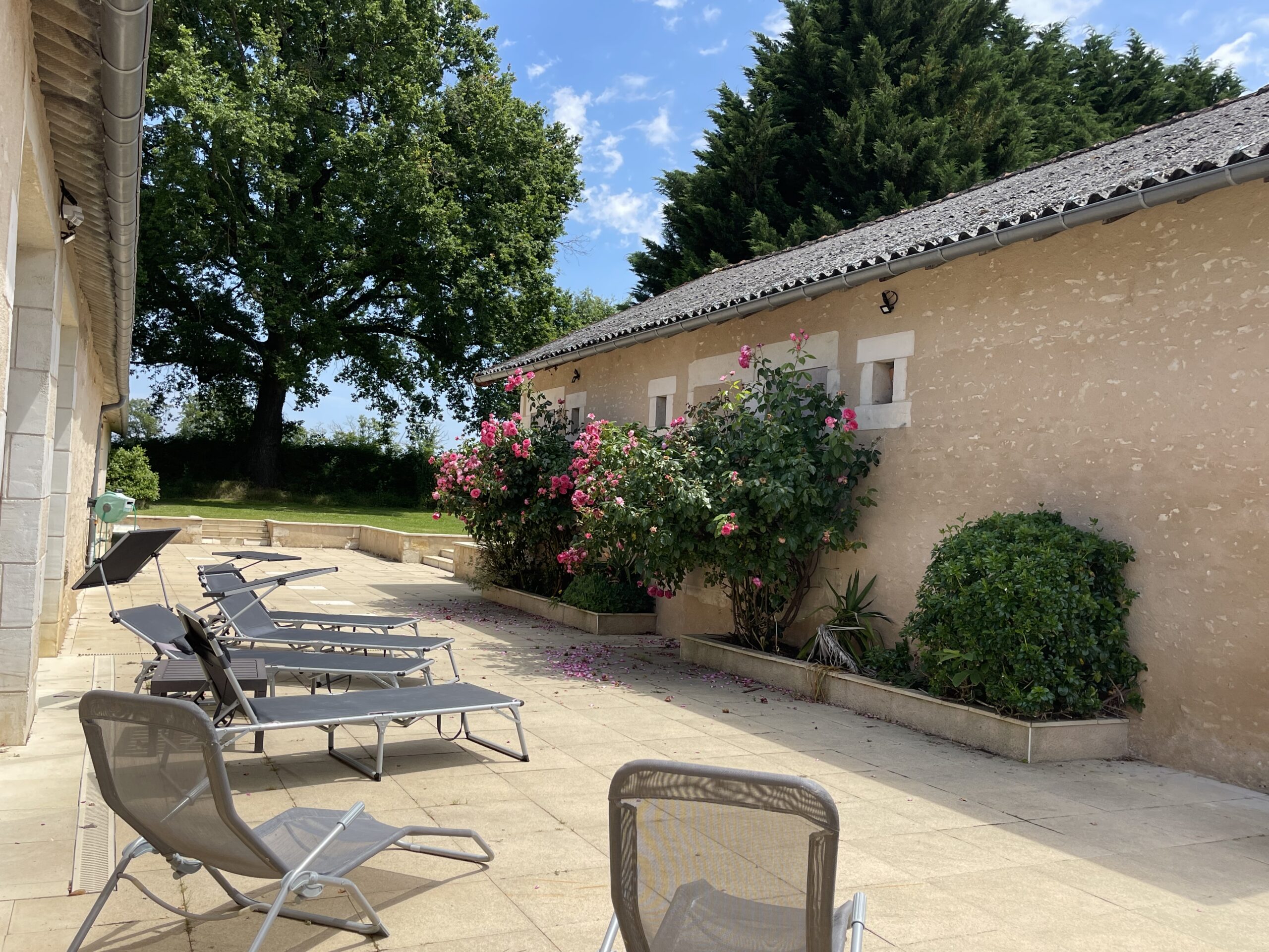 Terrasse solarium avec transats du Domaine de Busseroux